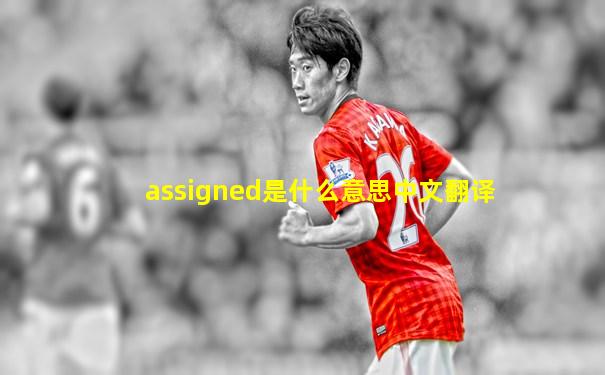 assigned是什么意思中文翻译