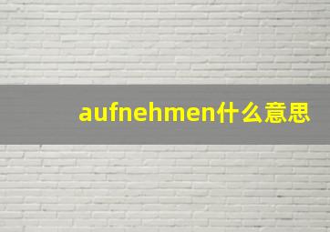 aufnehmen什么意思