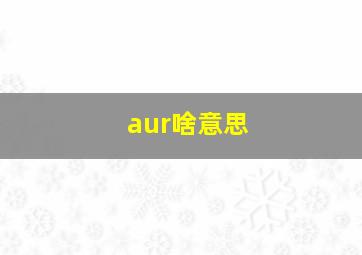 aur啥意思