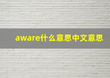 aware什么意思中文意思