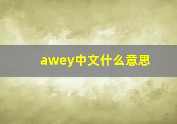 awey中文什么意思