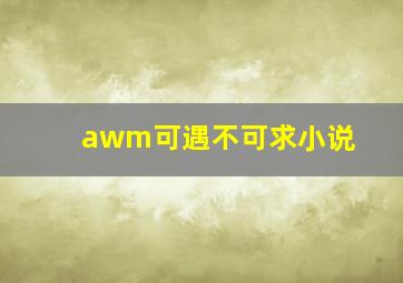 awm可遇不可求小说