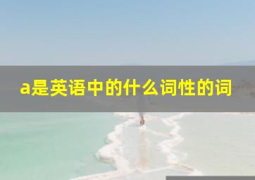 a是英语中的什么词性的词