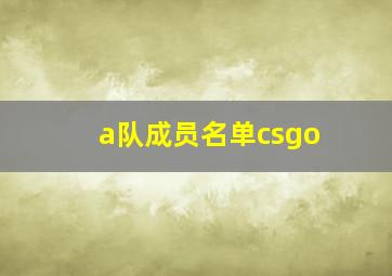 a队成员名单csgo