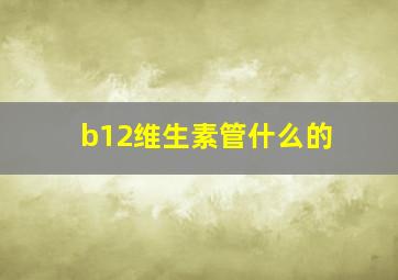 b12维生素管什么的