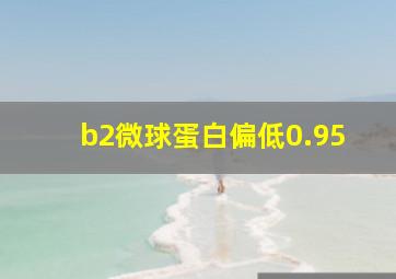 b2微球蛋白偏低0.95