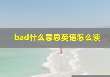 bad什么意思英语怎么读