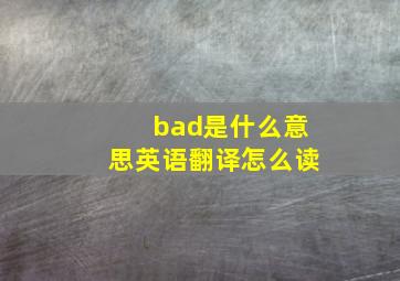 bad是什么意思英语翻译怎么读