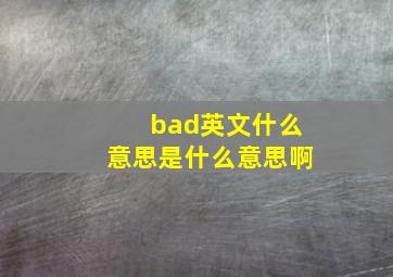 bad英文什么意思是什么意思啊