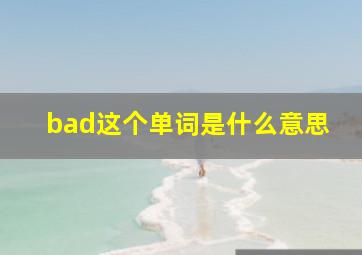 bad这个单词是什么意思