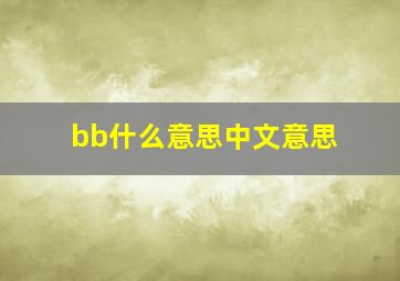 bb什么意思中文意思