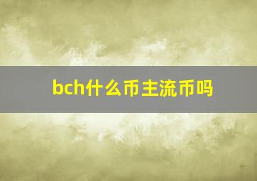 bch什么币主流币吗