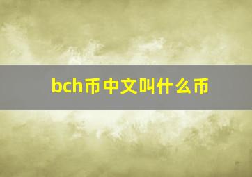 bch币中文叫什么币