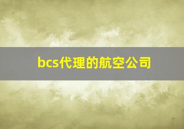 bcs代理的航空公司