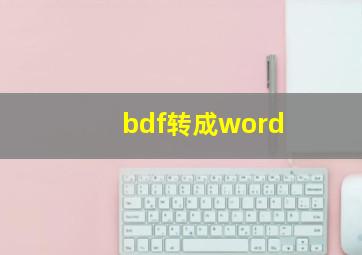 bdf转成word