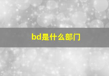 bd是什么部门