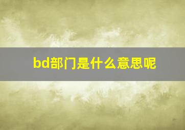 bd部门是什么意思呢