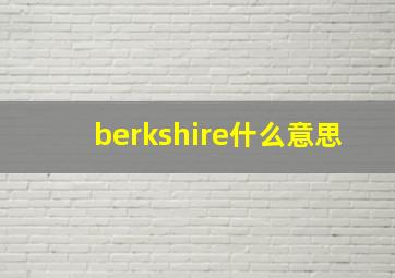 berkshire什么意思