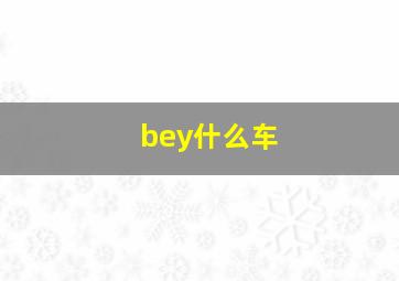 bey什么车