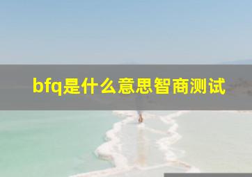 bfq是什么意思智商测试