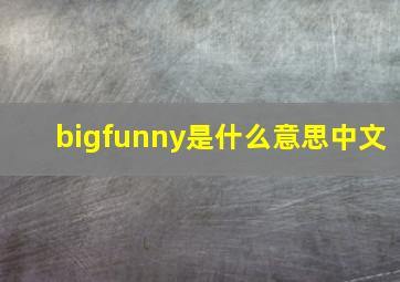 bigfunny是什么意思中文