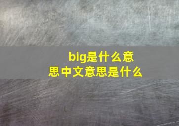 big是什么意思中文意思是什么