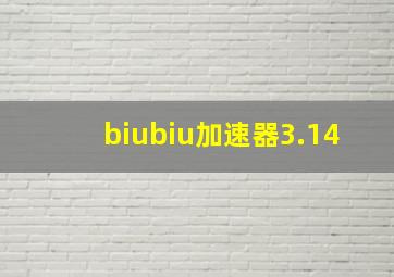 biubiu加速器3.14