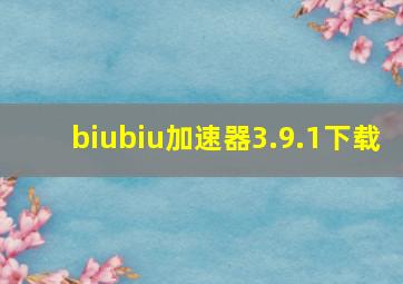 biubiu加速器3.9.1下载