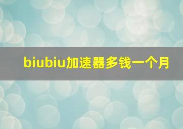 biubiu加速器多钱一个月