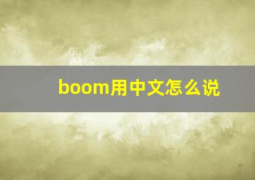 boom用中文怎么说