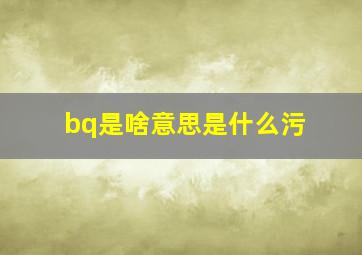 bq是啥意思是什么污