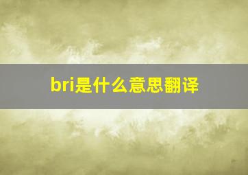 bri是什么意思翻译