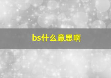 bs什么意思啊