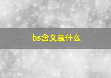 bs含义是什么