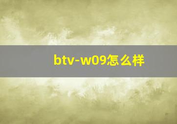 btv-w09怎么样