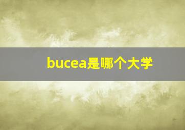 bucea是哪个大学