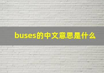 buses的中文意思是什么