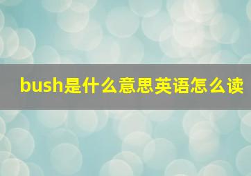 bush是什么意思英语怎么读