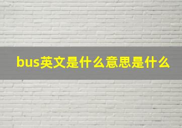 bus英文是什么意思是什么