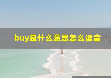 buy是什么意思怎么读音