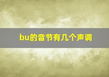 bu的音节有几个声调