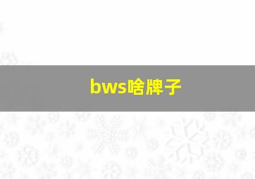 bws啥牌子