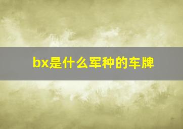 bx是什么军种的车牌