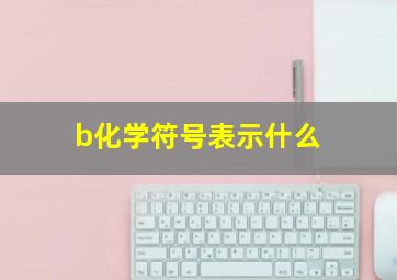 b化学符号表示什么