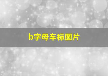 b字母车标图片