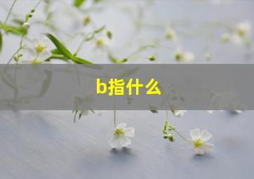 b指什么