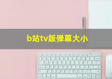 b站tv版弹幕大小