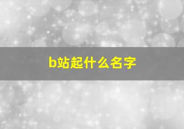 b站起什么名字