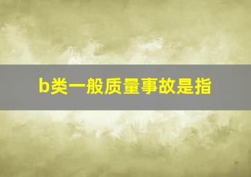 b类一般质量事故是指