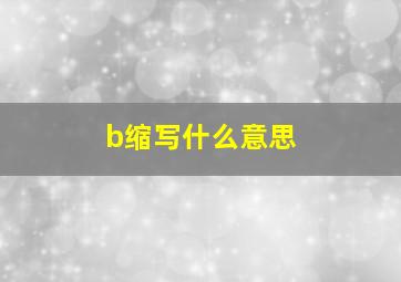 b缩写什么意思